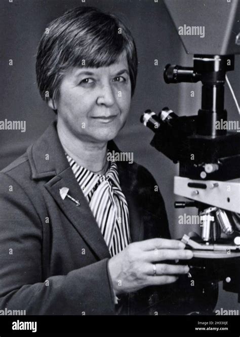 kevler origin country|Stronger Than Steel: How Chemist Stephanie Kwolek Invented .